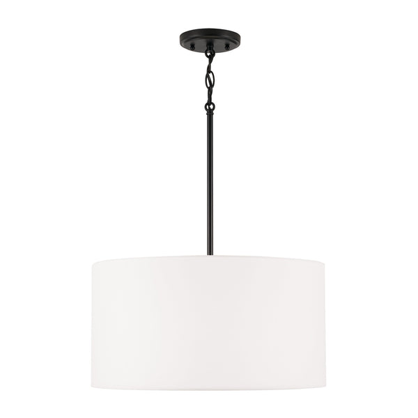 Alan Pendant by Capital Lighting
