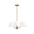 Welsley Chandelier by Capital Lighting