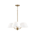 Welsley Chandelier by Capital Lighting