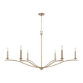Grady Chandelier by Capital Lighting