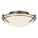 Tryne Flush Mount Ceiling Light by Hubbardton Forge