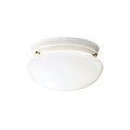 Ceiling Space Flush Mount Light by Kichler