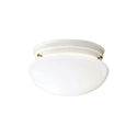 Ceiling Space Flush Mount Light by Kichler