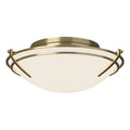 Tryne Flush Mount Ceiling Light by Hubbardton Forge