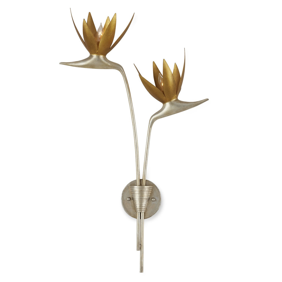 Currey and Company-5000-0239|MAIN