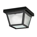 Outdoor Miscellaneous Outdoor (Damp) Ceiling Mount Light by Kichler