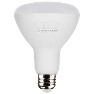 Satco - S11780 - Light Bulb - White from Lighting & Bulbs Unlimited.