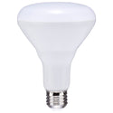 Satco - S39628 - Light Bulb - Frost from Lighting & Bulbs Unlimited.