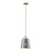 Modern Brass with Plated Smoke Glass (PS) Glass and Smoke Shade