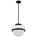 Lakeshore Outdoor (Damp) Pendant by Nuvo Lighting