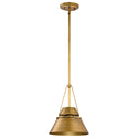 Adina Outdoor (Damp) Pendant by Nuvo Lighting