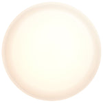 Nuvo Lighting-62-559|ALT|10