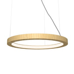 Accord Lighting-1316LED.45|MAIN