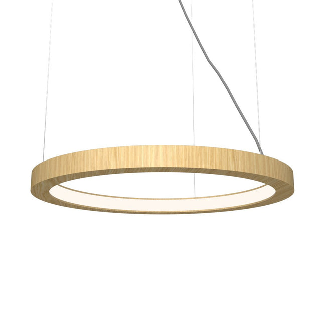 Frame Outdoor (Damp) Pendant by Accord Lighting