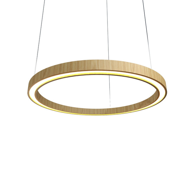 Frame Outdoor (Damp) Pendant by Accord Lighting