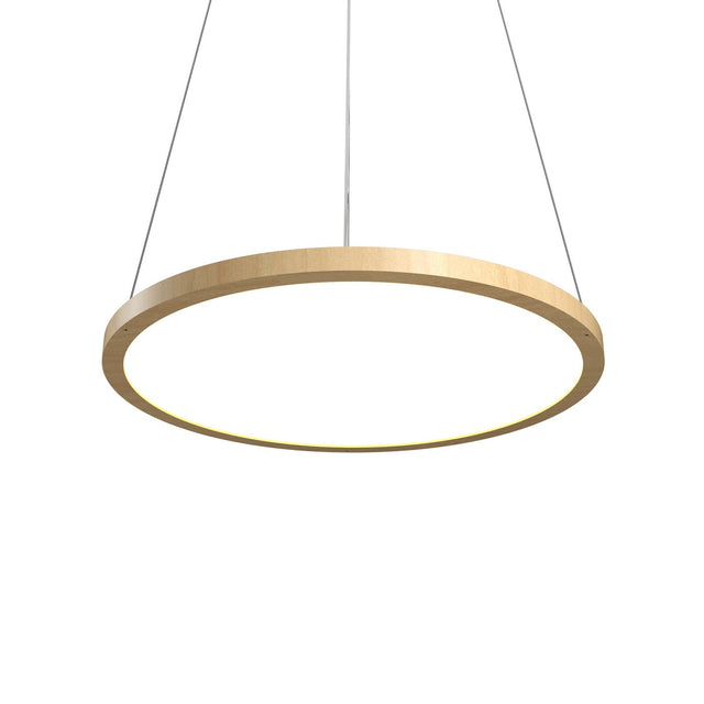 Naia Outdoor (Damp) Pendant by Accord Lighting
