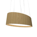 Oval Outdoor (Damp) Pendant by Accord Lighting