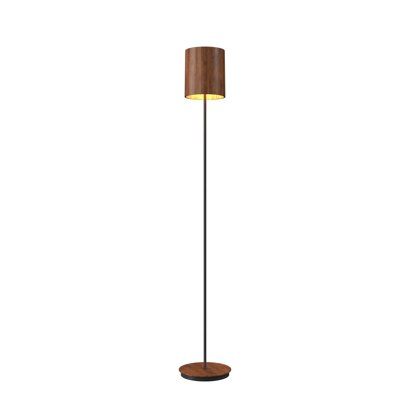 Accord Lighting-3054.06|MAIN