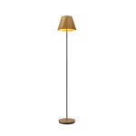 Accord Lighting-3055.09|MAIN
