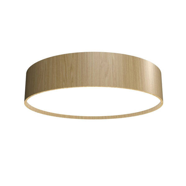 Cylindrical Ceiling Mount by Accord Lighting