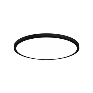 Buy charcoal-and-silver-gray-shade Naia Outdoor (Damp) Ceiling Mount Light by Accord Lighting