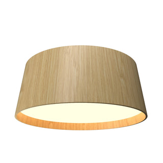 Buy sand Conical Ceiling Mount by Accord Lighting