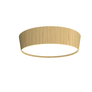 Buy sand Conic Outdoor (Damp) Ceiling Light by Accord Lighting