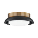 Arnie Outdoor (Damp) Flush Mount Light by Troy Lighting