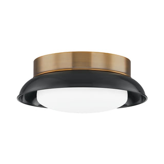 Arnie Outdoor (Damp) Flush Mount Ceiling Light by Troy Lighting