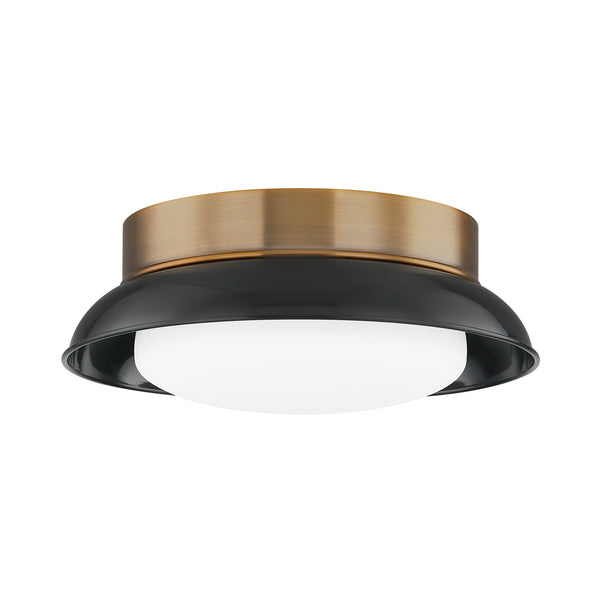 Arnie Outdoor (Damp) Flush Mount Ceiling Light by Troy Lighting