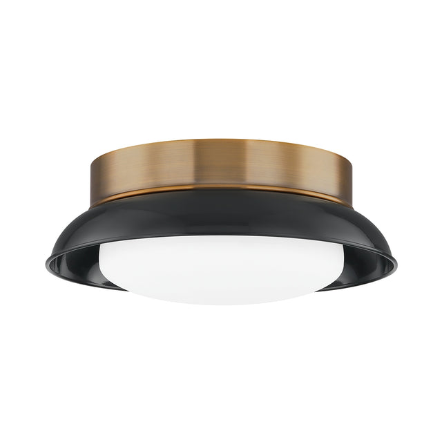 Arnie Outdoor (Damp) Flush Mount Ceiling Light by Troy Lighting