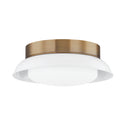 Arnie Outdoor (Damp) Flush Mount Light by Troy Lighting