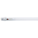 Satco-S11731|ALT|8
