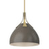 Modern Brass and Silver/Gray Shade