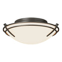 Tryne Flush Mount Ceiling Light by Hubbardton Forge