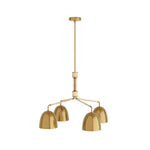 Arteriors-DLI05|MAIN