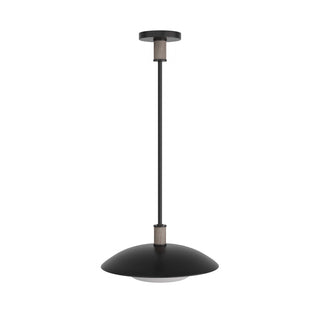 Tobias Outdoor (Damp) Pendant by Arteriors