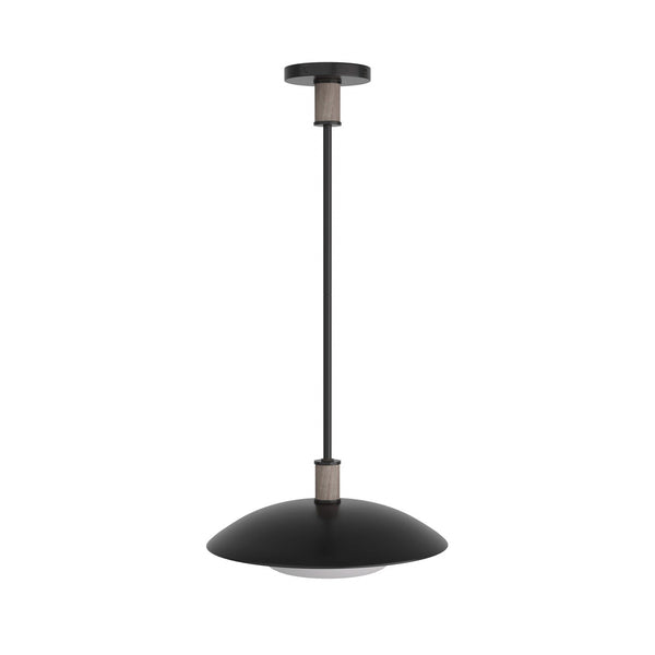 Tobias Outdoor (Damp) Pendant by Arteriors