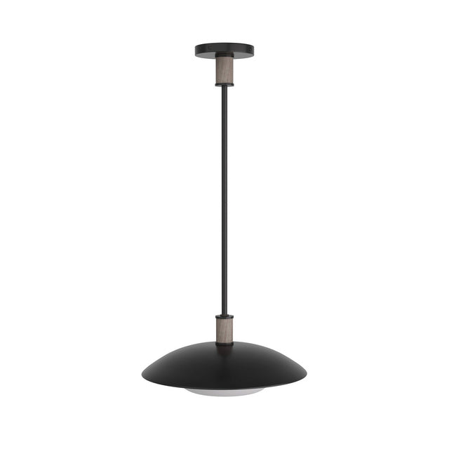 Tobias Outdoor (Damp) Pendant by Arteriors