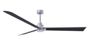 Alessandra Ceiling Fan by Matthews Fan Company