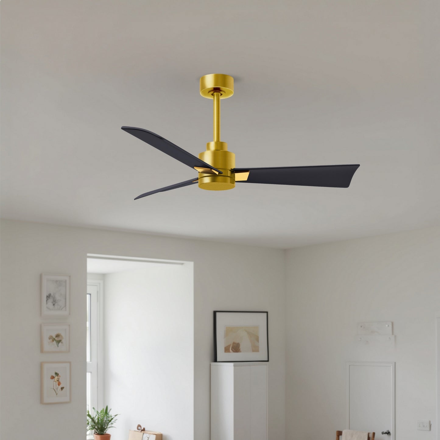 Matthews Fan Company-AK-BRBR-BK-42|ALT|3