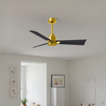 Matthews Fan Company-AK-BRBR-BK-42|ALT|3