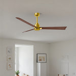 Matthews Fan Company-AK-BRBR-WN-56|ALT|3