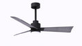 Alessandra - LK Ceiling Fan by Matthews Fan Company