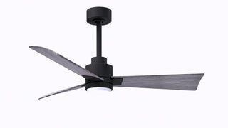 Buy matte-black-finish-with-barn-wood-tone-blades Alessandra - LK Ceiling Fan by Matthews Fan Company