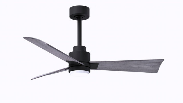 Alessandra - LK Ceiling Fan by Matthews Fan Company