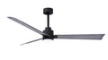 Alessandra - LK Ceiling Fan by Matthews Fan Company