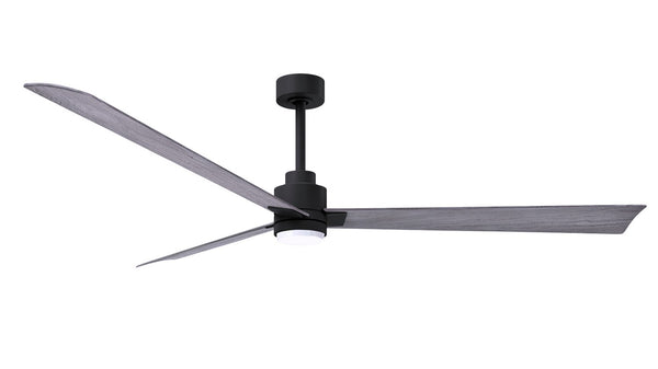 Alessandra - LK Ceiling Fan by Matthews Fan Company