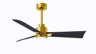 Buy brushed-brass-finish-with-matte-black-blades 3-Blades Alessandra - LK Matthews Fan Company by Matthews Fan Company