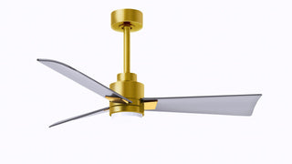 Buy brushed-brass-finish-with-brushed-nickel-blades Alessandra - LK Ceiling Fan by Matthews Fan Company